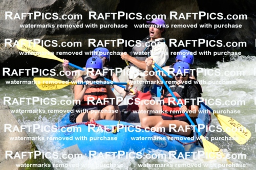 011011_Raftpics_September-07__NEW_WAVE__Racecourse_PM_KA_Rui_KLA0364