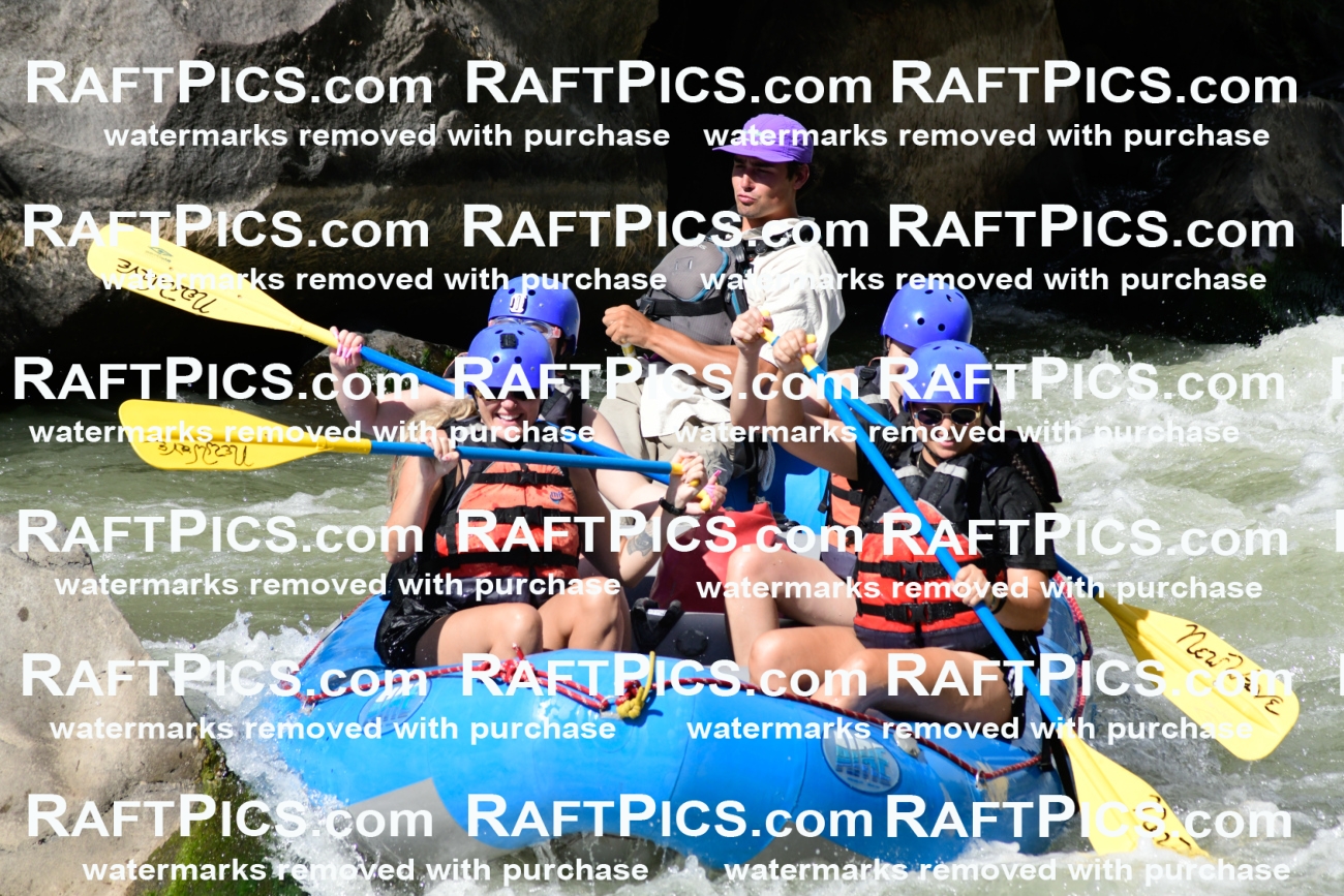 011012_Raftpics_September-07__NEW_WAVE__Racecourse_PM_KA_Rui_KLA0365