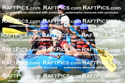 011013_Raftpics_September-07__NEW_WAVE__Racecourse_PM_KA_Rui_KLA0366