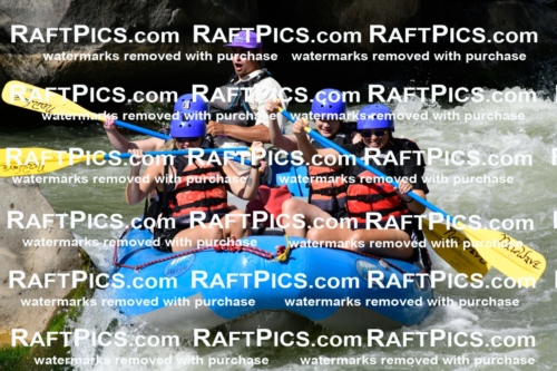 011014_Raftpics_September-07__NEW_WAVE__Racecourse_PM_KA_Rui_KLA0367