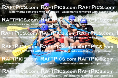 011016_Raftpics_September-07__NEW_WAVE__Racecourse_PM_KA_Rui_KLA0369