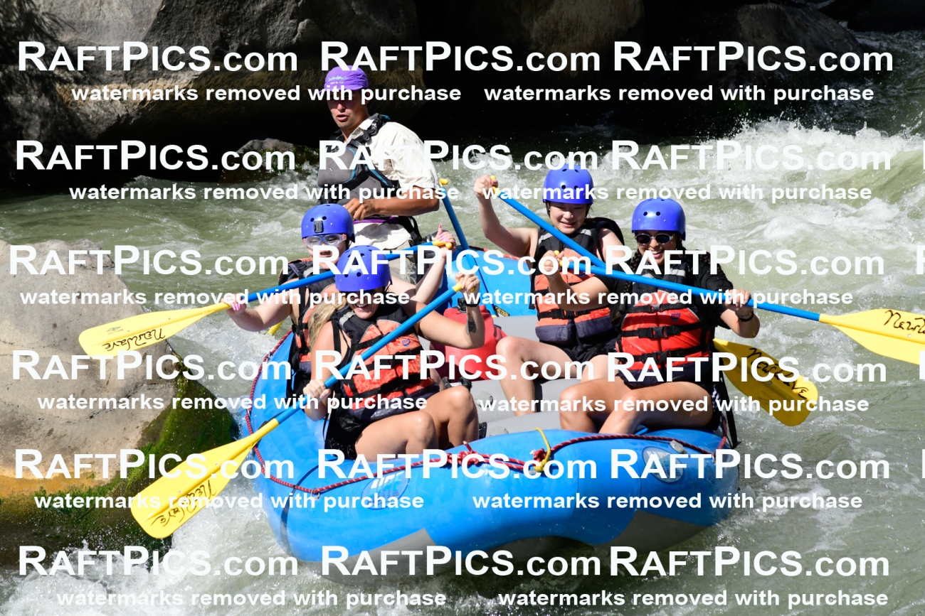 011017_Raftpics_September-07__NEW_WAVE__Racecourse_PM_KA_Rui_KLA0370