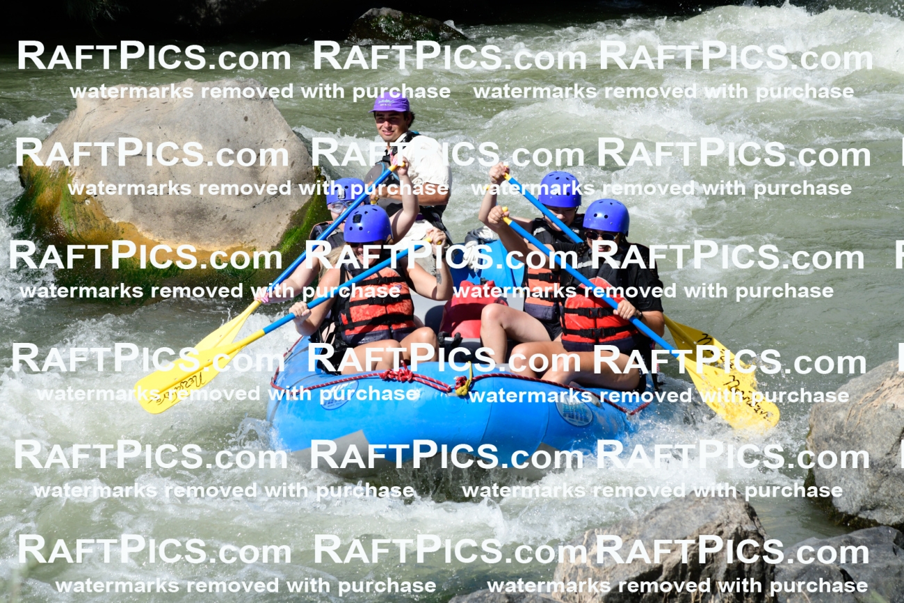 011019_Raftpics_September-07__NEW_WAVE__Racecourse_PM_KA_Rui_KLA0372