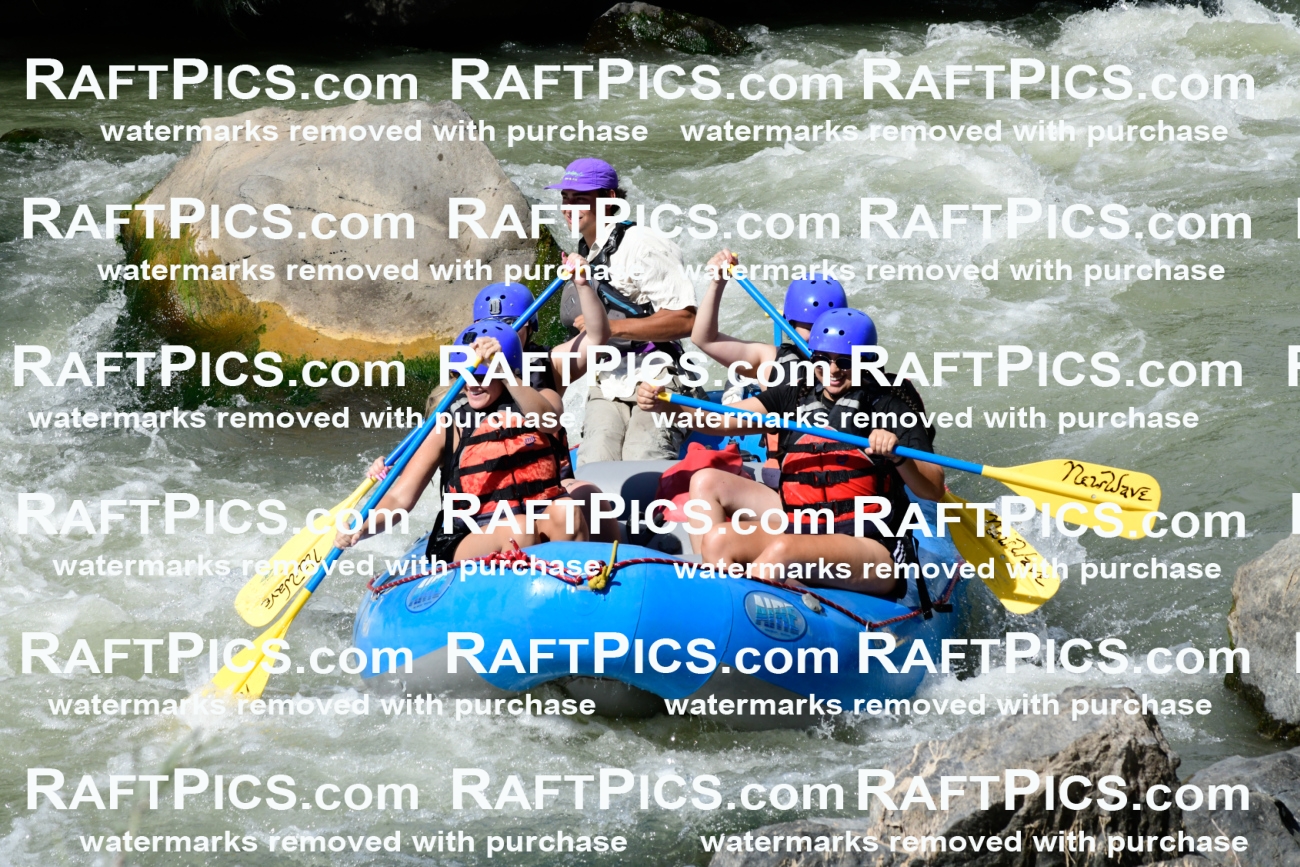 011020_Raftpics_September-07__NEW_WAVE__Racecourse_PM_KA_Rui_KLA0373