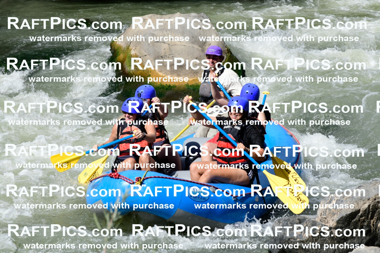 011022_Raftpics_September-07__NEW_WAVE__Racecourse_PM_KA_Rui_KLA0375