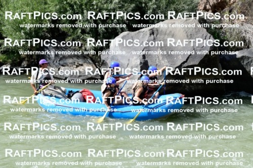 011025_Raftpics_September-07__NEW_WAVE__Racecourse_PM_KA_Rui_KLA0599