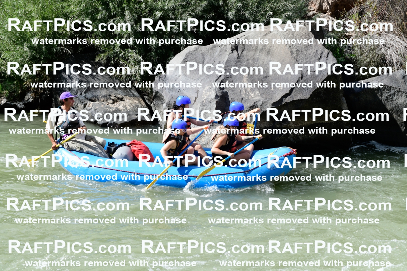 011026_Raftpics_September-07__NEW_WAVE__Racecourse_PM_KA_Rui_KLA0600