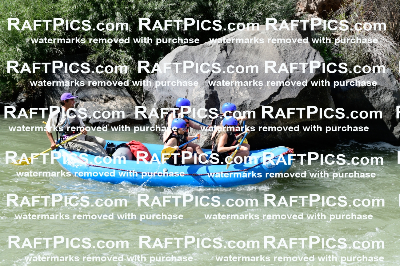 011027_Raftpics_September-07__NEW_WAVE__Racecourse_PM_KA_Rui_KLA0601