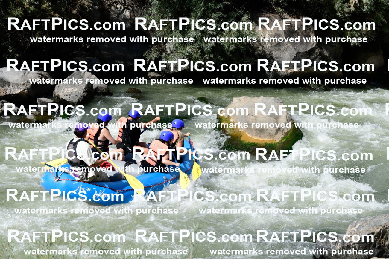 011029_Raftpics_September-07__NEW_WAVE__Racecourse_PM_KA_Rui_KLA0603