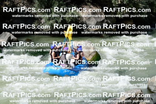 011030_Raftpics_September-07__NEW_WAVE__Racecourse_PM_KA_Rui_KLA0604