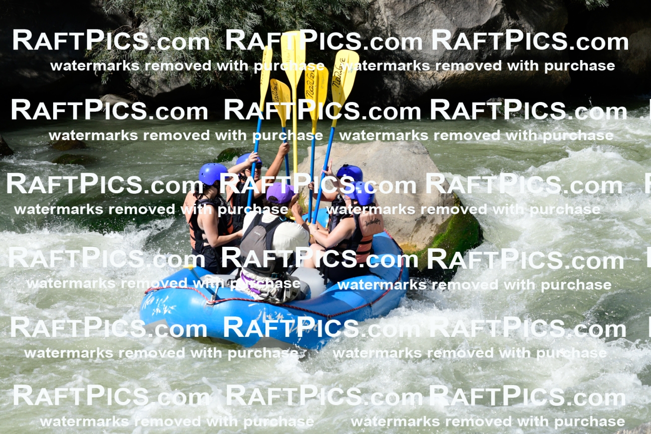 011031_Raftpics_September-07__NEW_WAVE__Racecourse_PM_KA_Rui_KLA0605