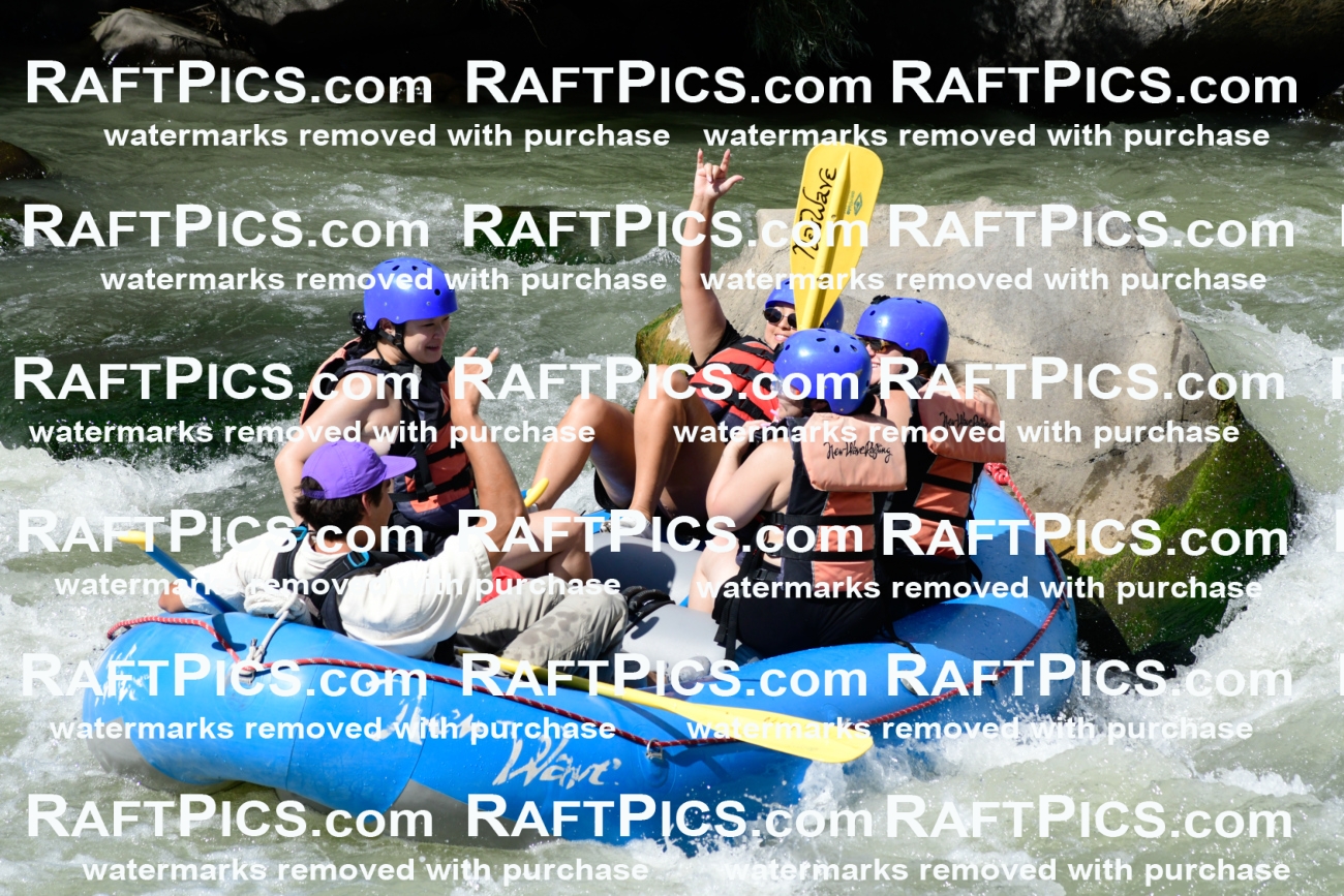 011032_Raftpics_September-07__NEW_WAVE__Racecourse_PM_KA_Rui_KLA0606