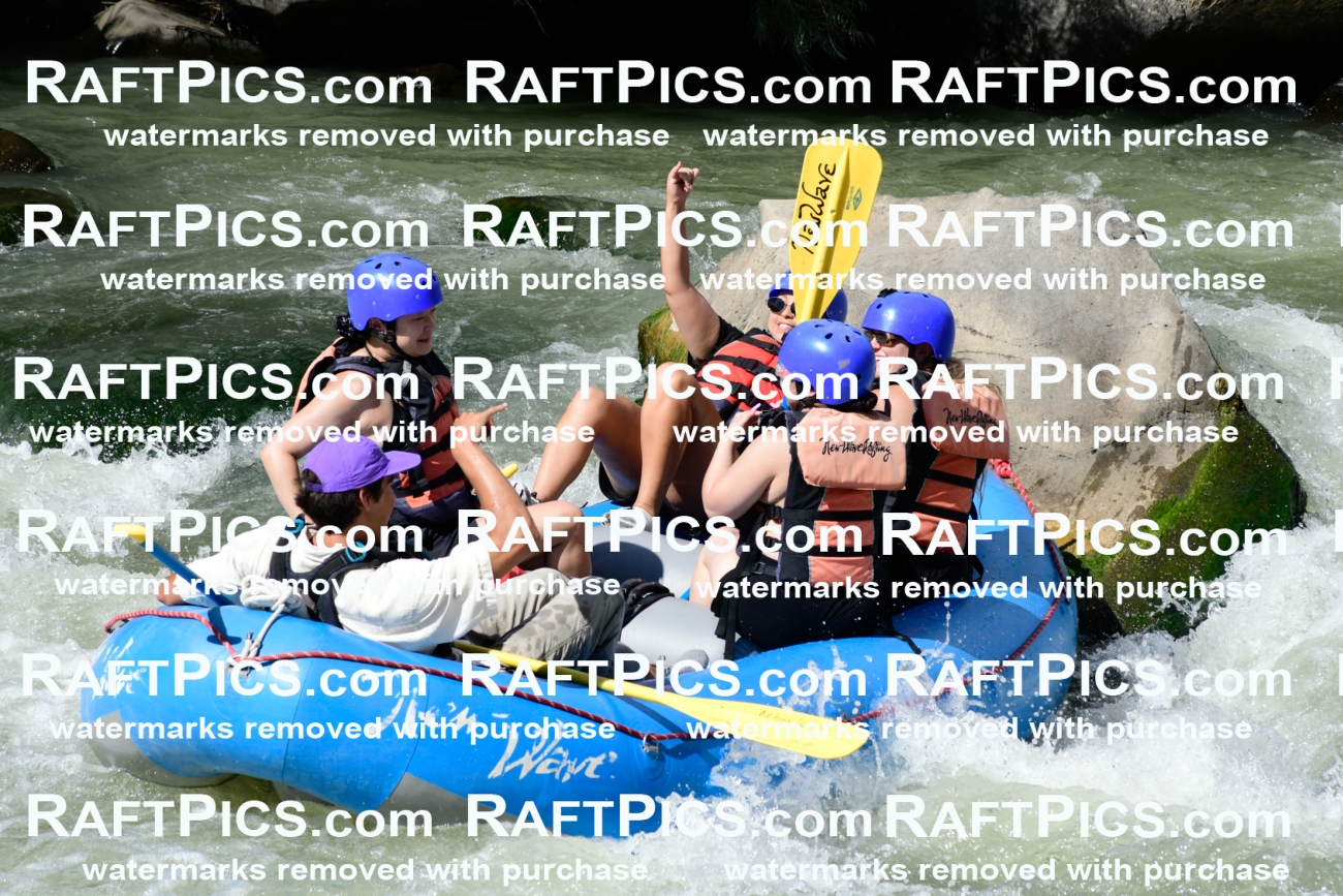 011033_Raftpics_September-07__NEW_WAVE__Racecourse_PM_KA_Rui_KLA0607