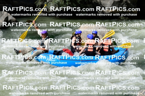 011038_Raftpics_September-07__NEW_WAVE__Racecourse_PM_KA_Rui_KLA0612