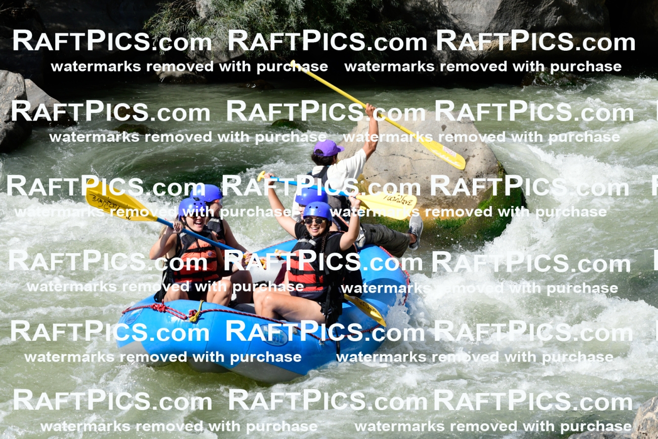 011041_Raftpics_September-07__NEW_WAVE__Racecourse_PM_KA_Rui_KLA0615