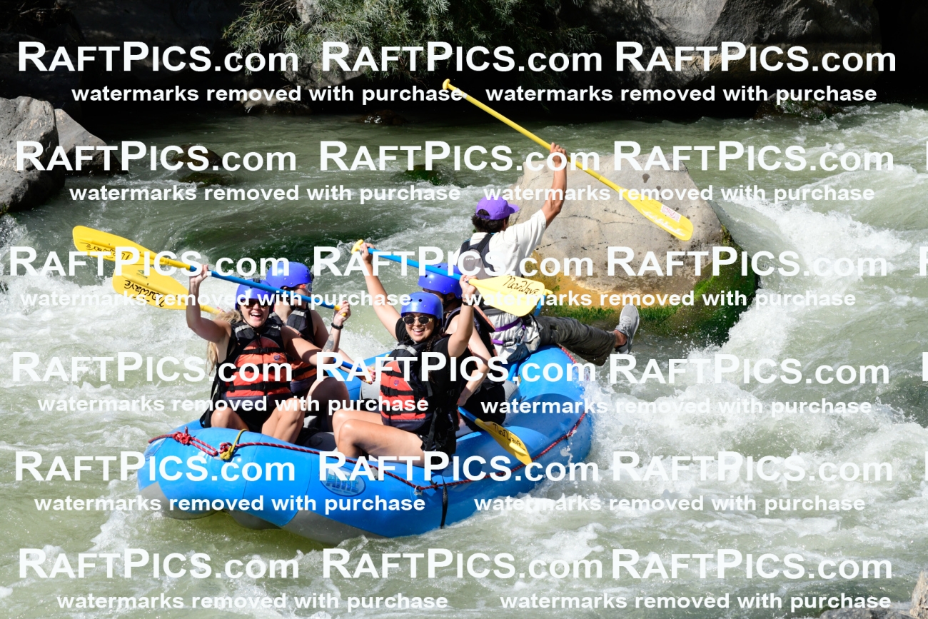 011042_Raftpics_September-07__NEW_WAVE__Racecourse_PM_KA_Rui_KLA0616