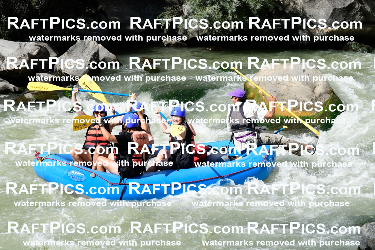 011043_Raftpics_September-07__NEW_WAVE__Racecourse_PM_KA_Rui_KLA0617