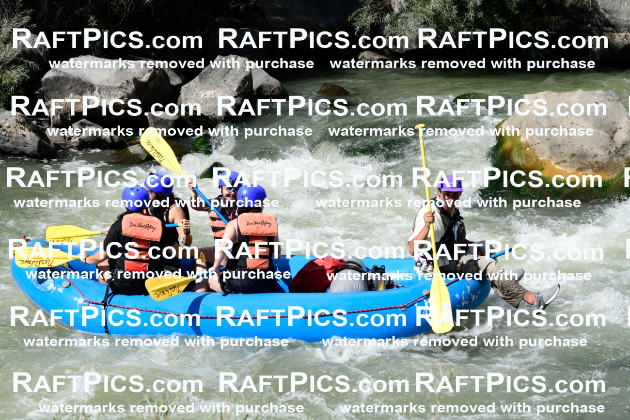 011044_Raftpics_September-07__NEW_WAVE__Racecourse_PM_KA_Rui_KLA0618