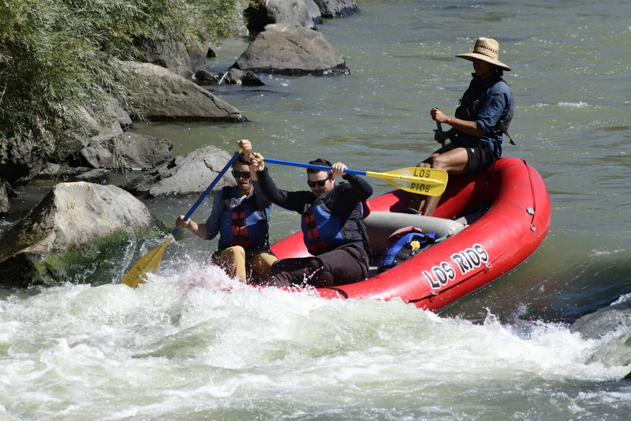 010067_Raftpics_September-07__LOS_RIOS__Racecourse_AM_KA_Michael