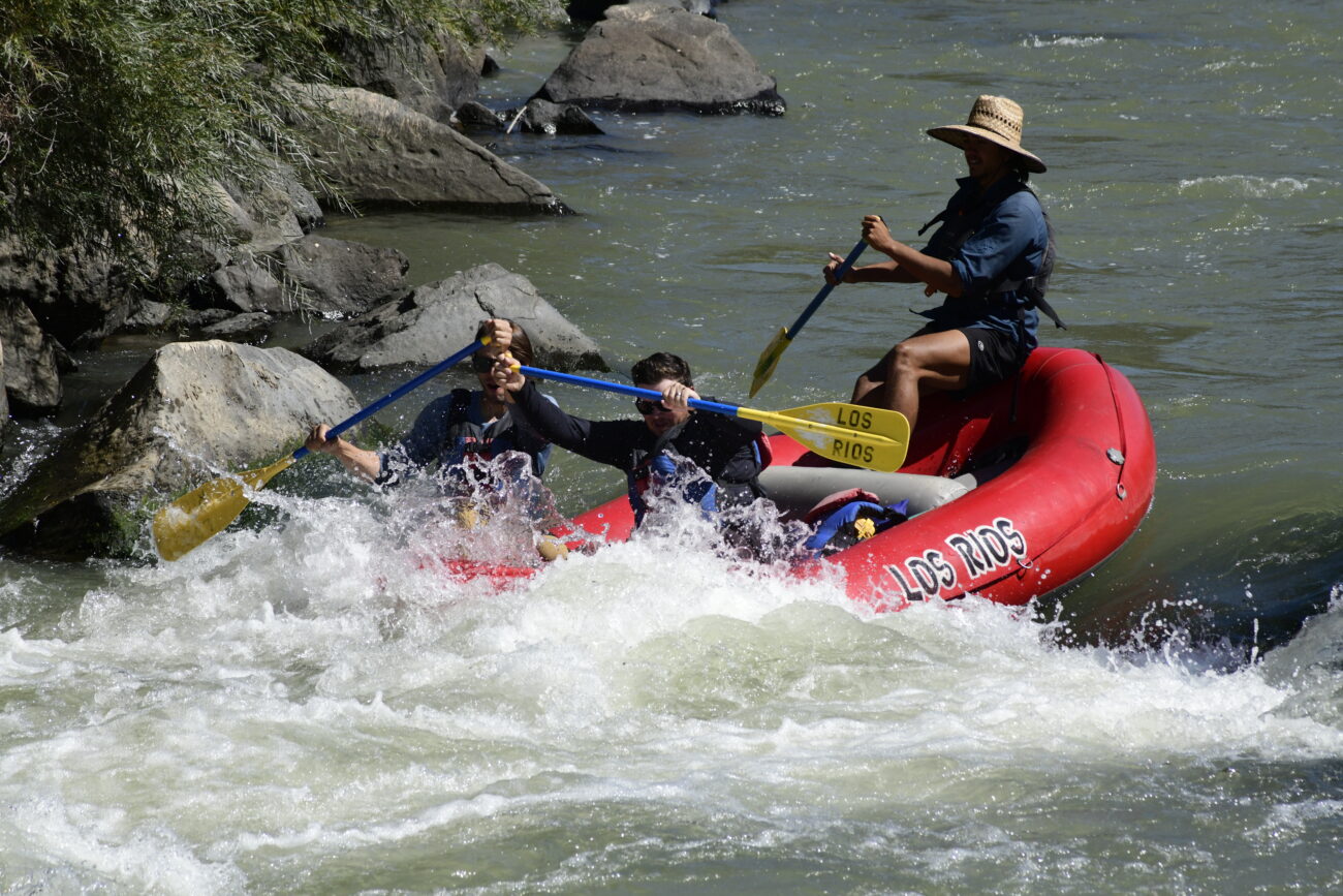 010068_Raftpics_September-07__LOS_RIOS__Racecourse_AM_KA_Michael