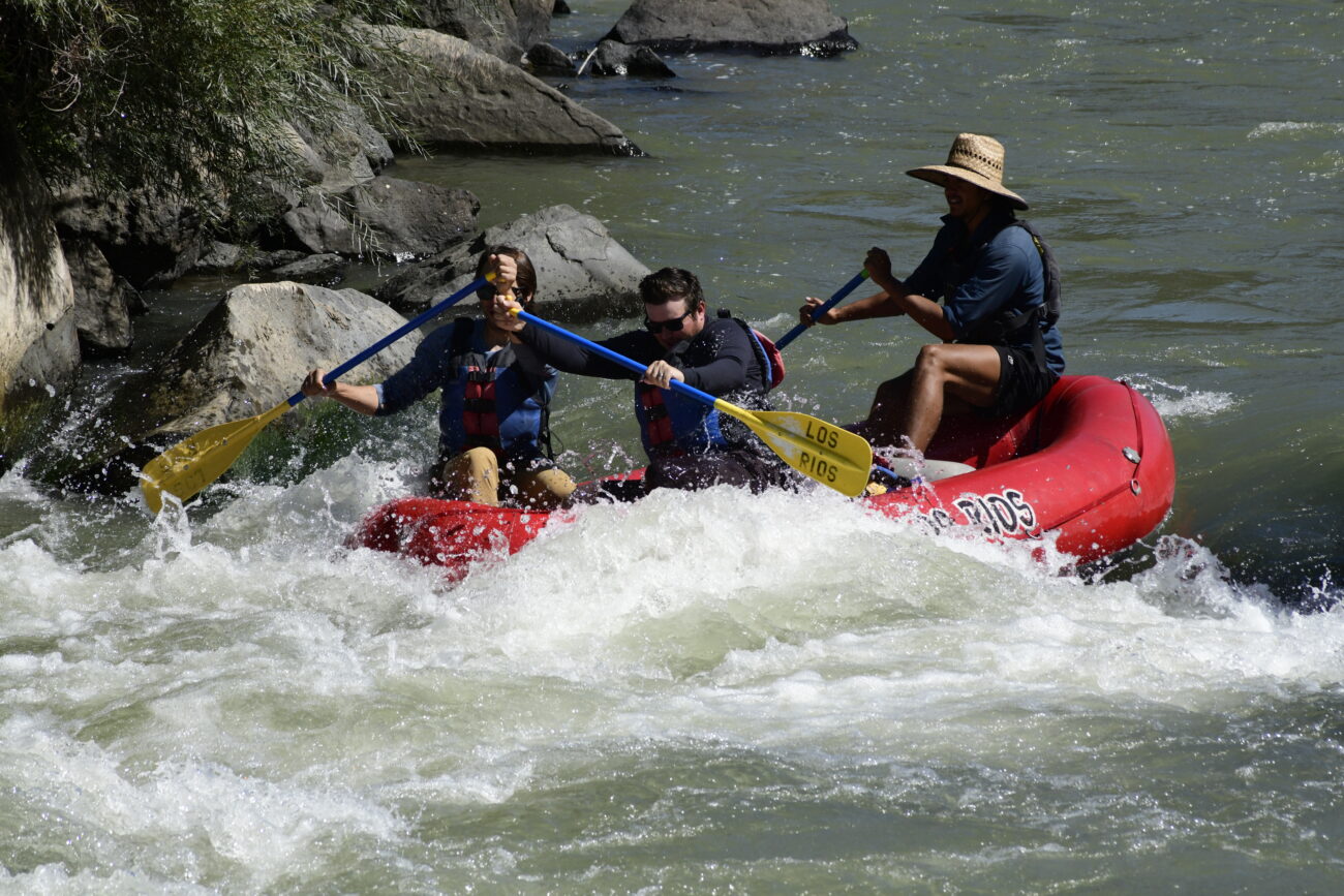 010069_Raftpics_September-07__LOS_RIOS__Racecourse_AM_KA_Michael