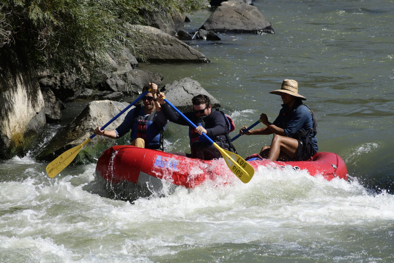 010070_Raftpics_September-07__LOS_RIOS__Racecourse_AM_KA_Michael