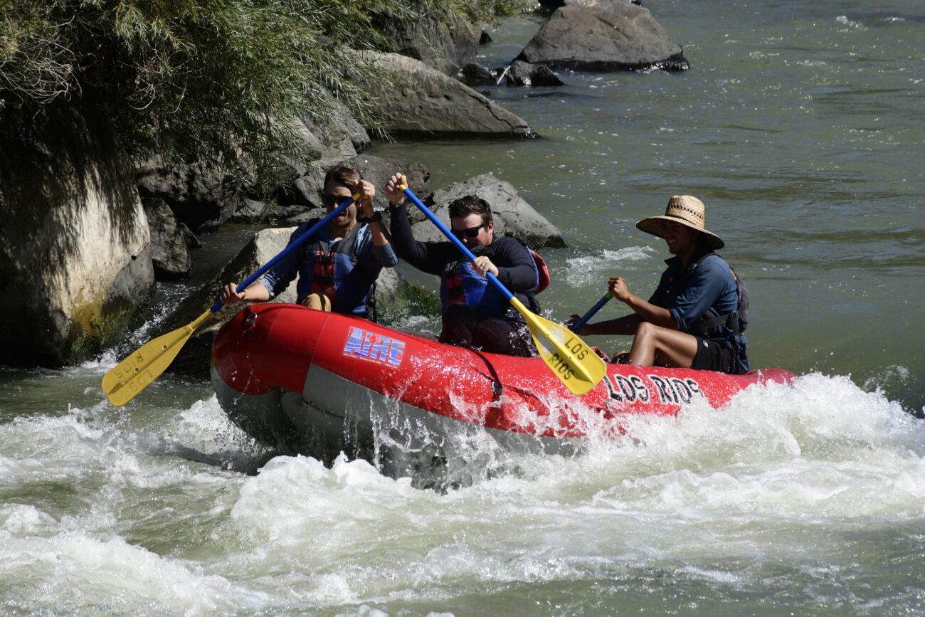 010071_Raftpics_September-07__LOS_RIOS__Racecourse_AM_KA_Michael