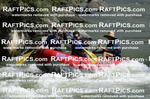 010071_Raftpics_September-07__LOS_RIOS__Racecourse_AM_KA_Michael