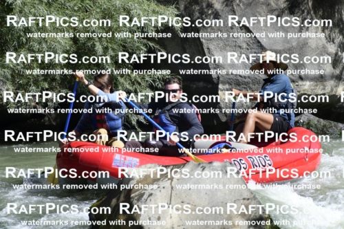 010078_Raftpics_September-07__LOS_RIOS__Racecourse_AM_KA_Michael