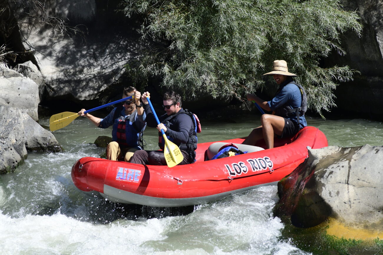 010087_Raftpics_September-07__LOS_RIOS__Racecourse_AM_KA_Michael