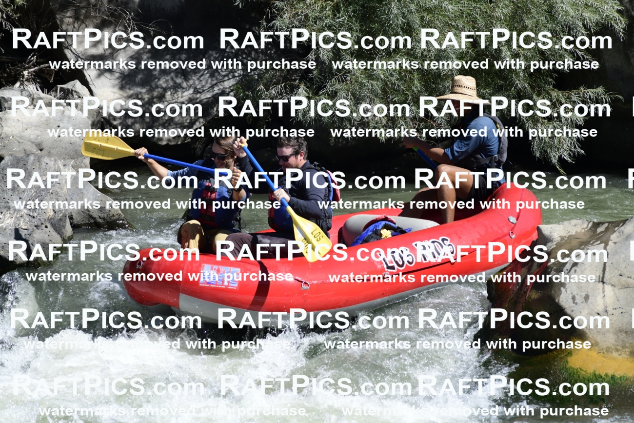 010088_Raftpics_September-07__LOS_RIOS__Racecourse_AM_KA_Michael