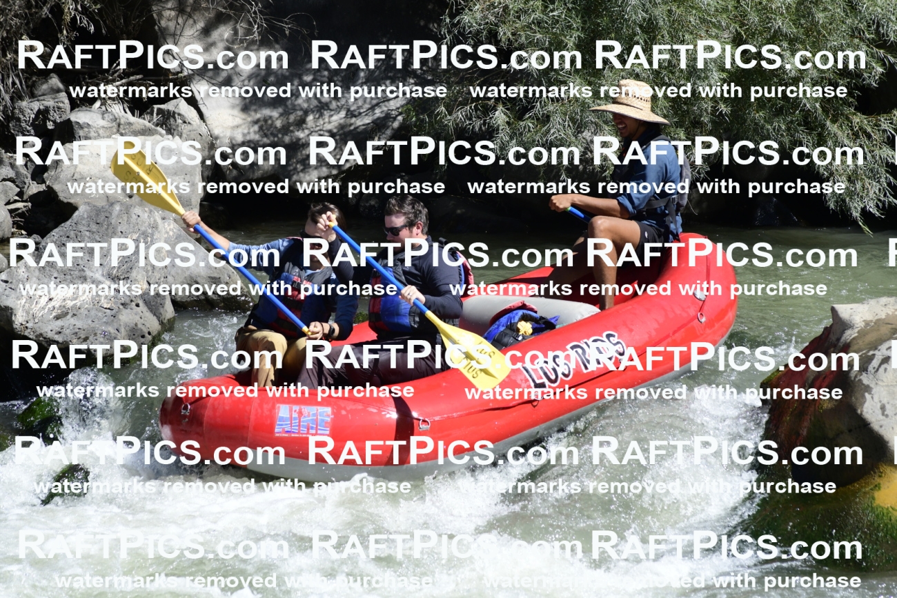 010089_Raftpics_September-07__LOS_RIOS__Racecourse_AM_KA_Michael