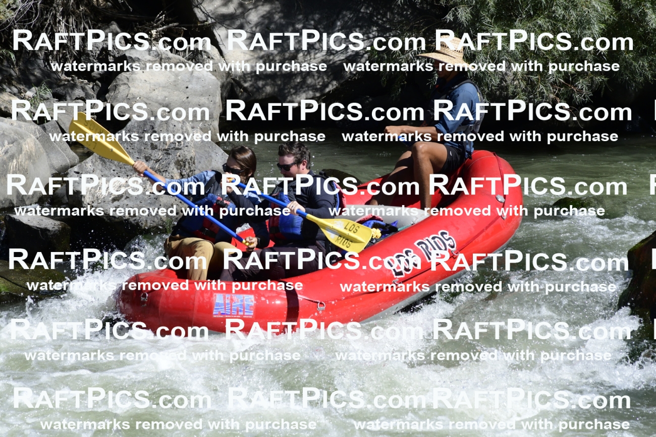 010090_Raftpics_September-07__LOS_RIOS__Racecourse_AM_KA_Michael