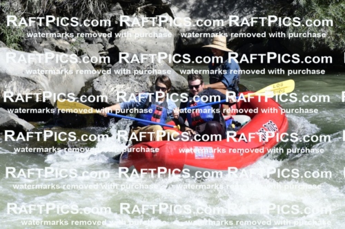 010092_Raftpics_September-07__LOS_RIOS__Racecourse_AM_KA_Michael