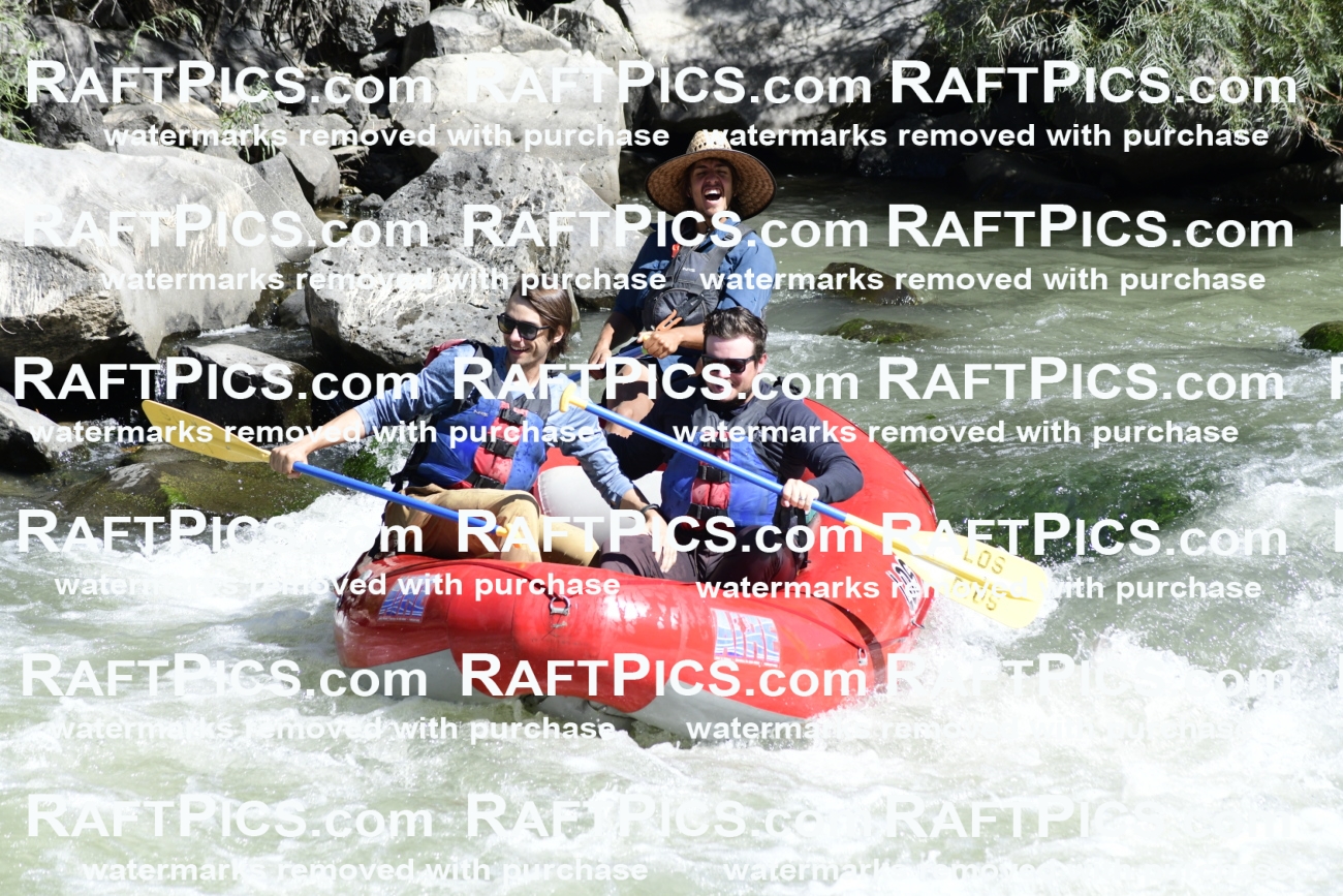 010093_Raftpics_September-07__LOS_RIOS__Racecourse_AM_KA_Michael