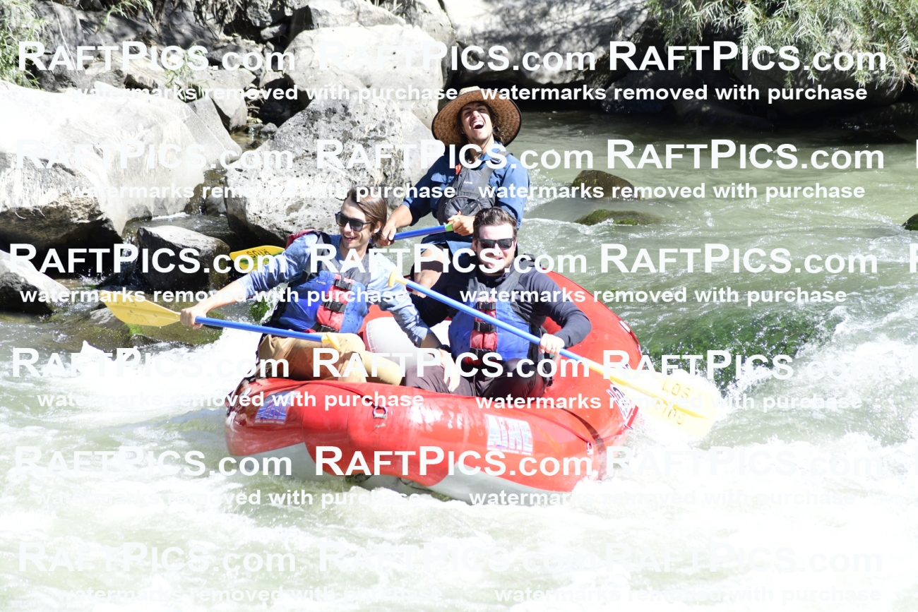 010094_Raftpics_September-07__LOS_RIOS__Racecourse_AM_KA_Michael