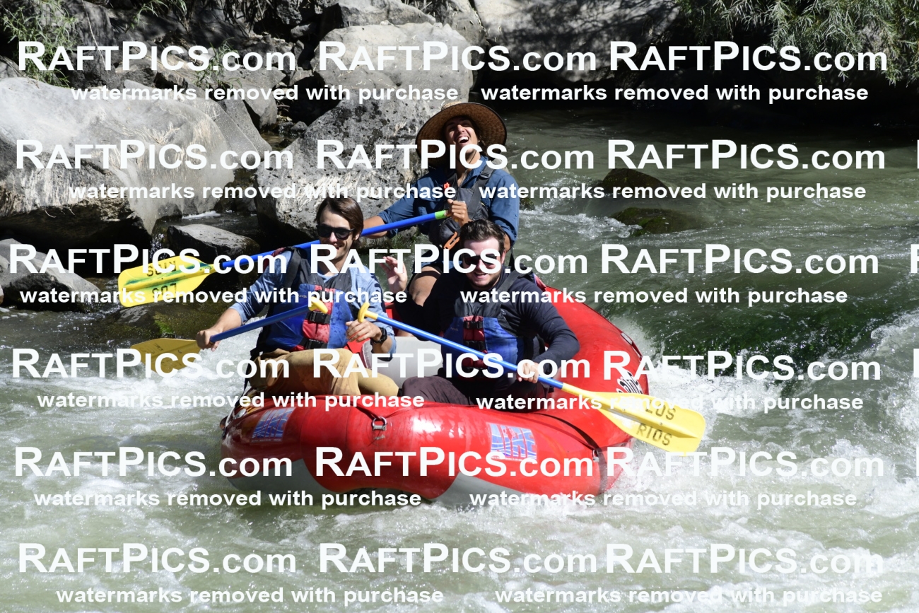 010095_Raftpics_September-07__LOS_RIOS__Racecourse_AM_KA_Michael