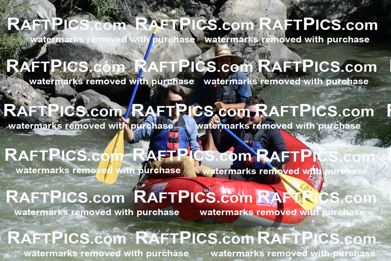 010098_Raftpics_September-07__LOS_RIOS__Racecourse_AM_KA_Michael