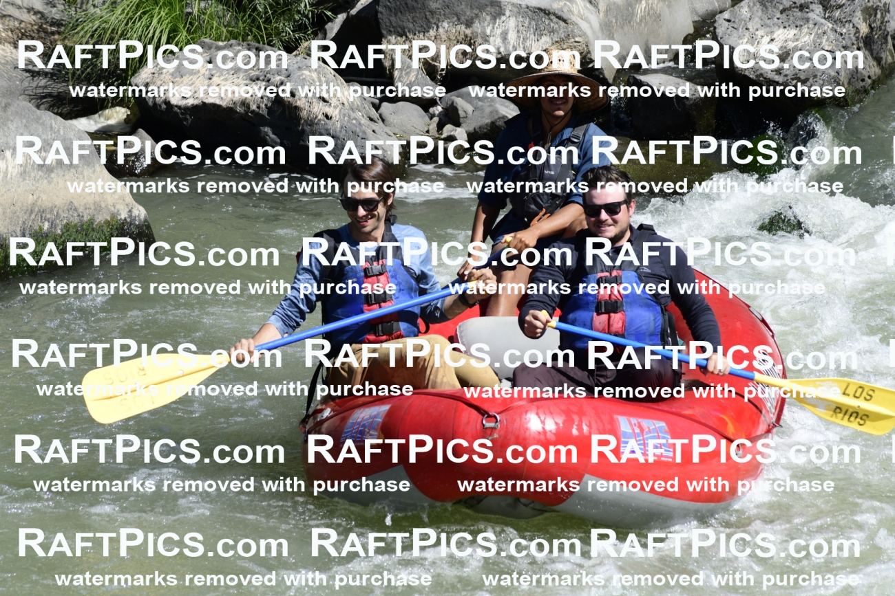 010100_Raftpics_September-07__LOS_RIOS__Racecourse_AM_KA_Michael