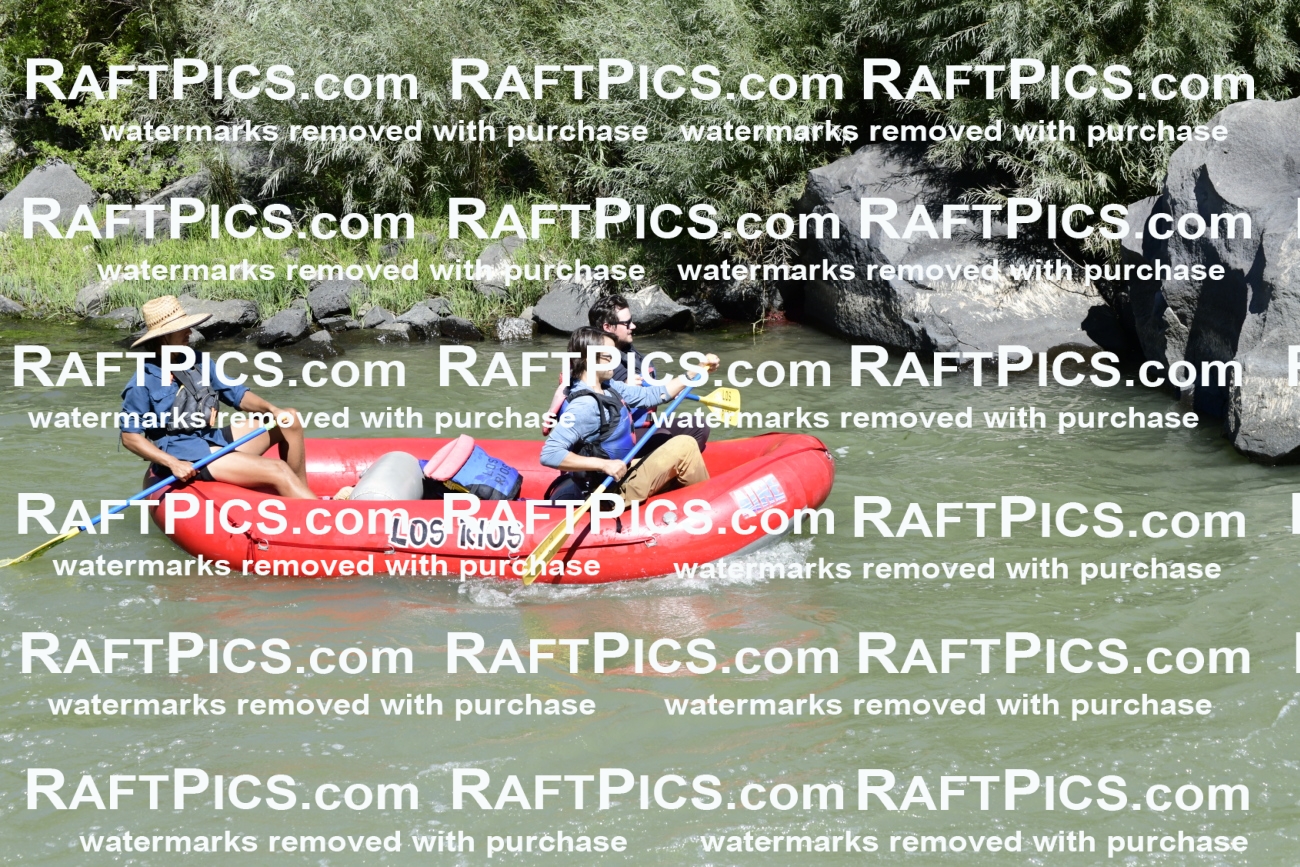 010104_Raftpics_September-07__LOS_RIOS__Racecourse_AM_KA_Michael