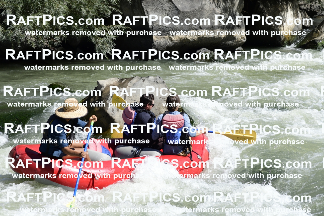 010105_Raftpics_September-07__LOS_RIOS__Racecourse_AM_KA_Michael