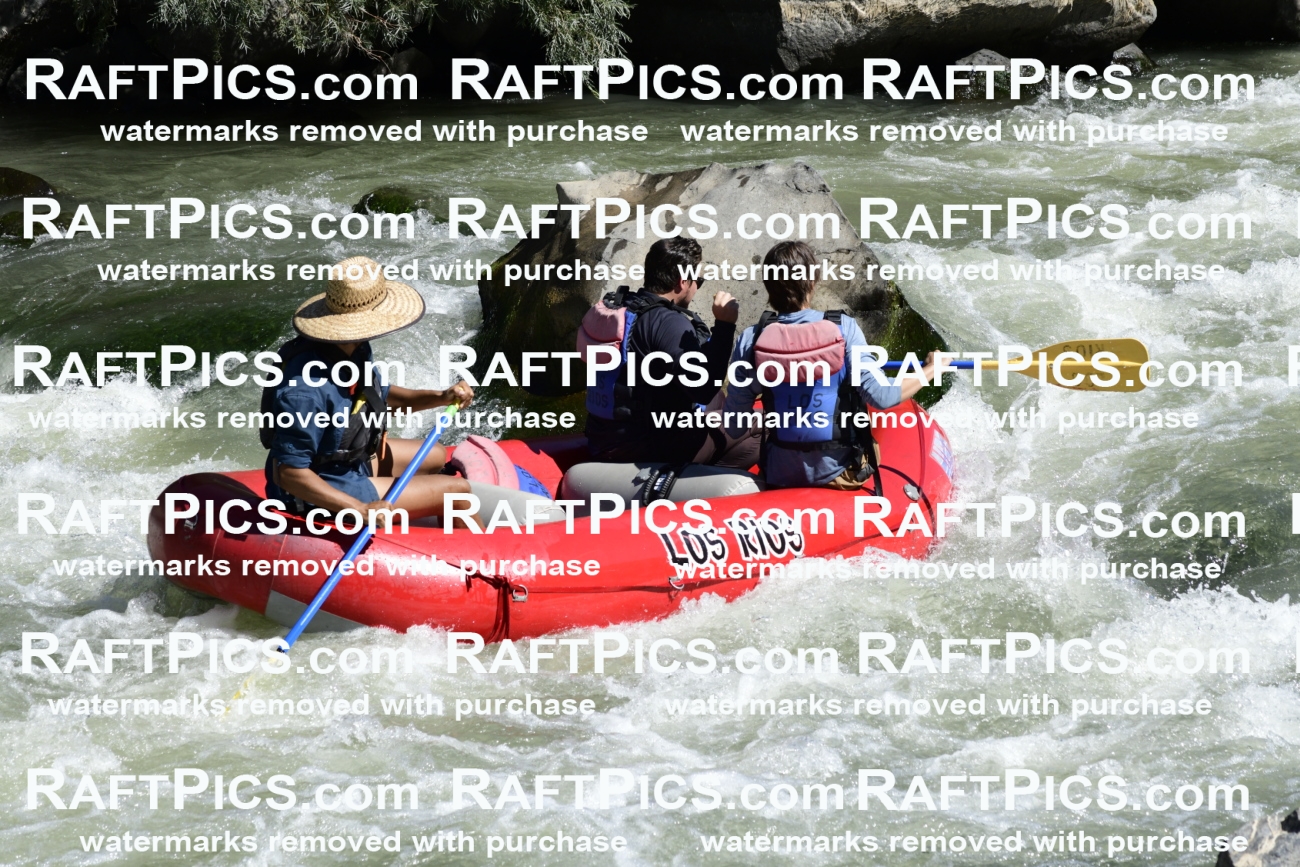 010106_Raftpics_September-07__LOS_RIOS__Racecourse_AM_KA_Michael