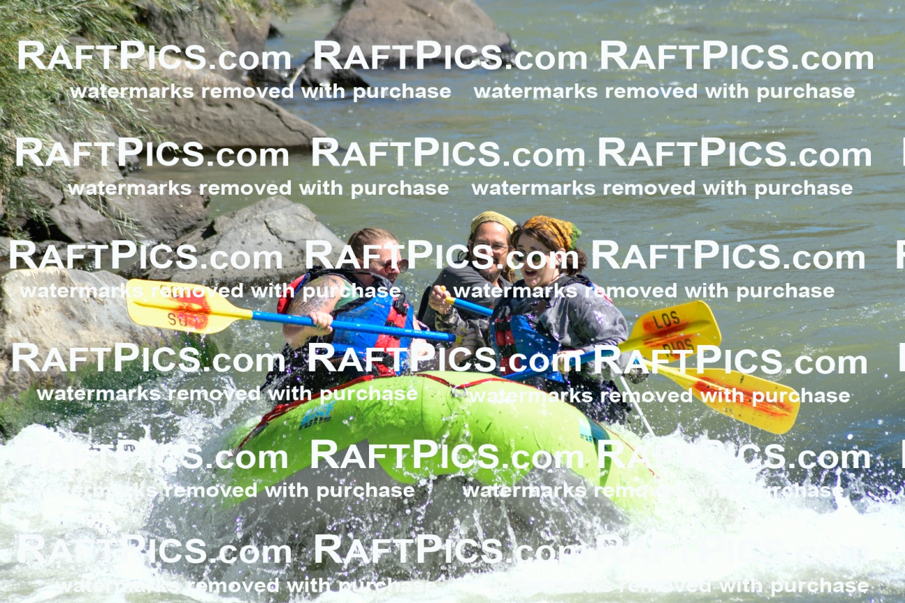 010040_Raftpics_September-07__LOS_RIOS__Racecourse_AM_KA_Shay