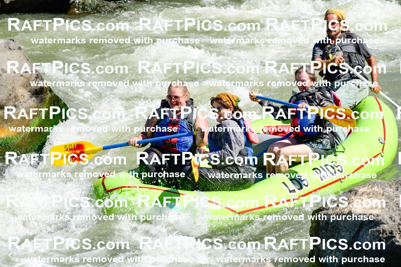 010052_Raftpics_September-07__LOS_RIOS__Racecourse_AM_KA_Shay