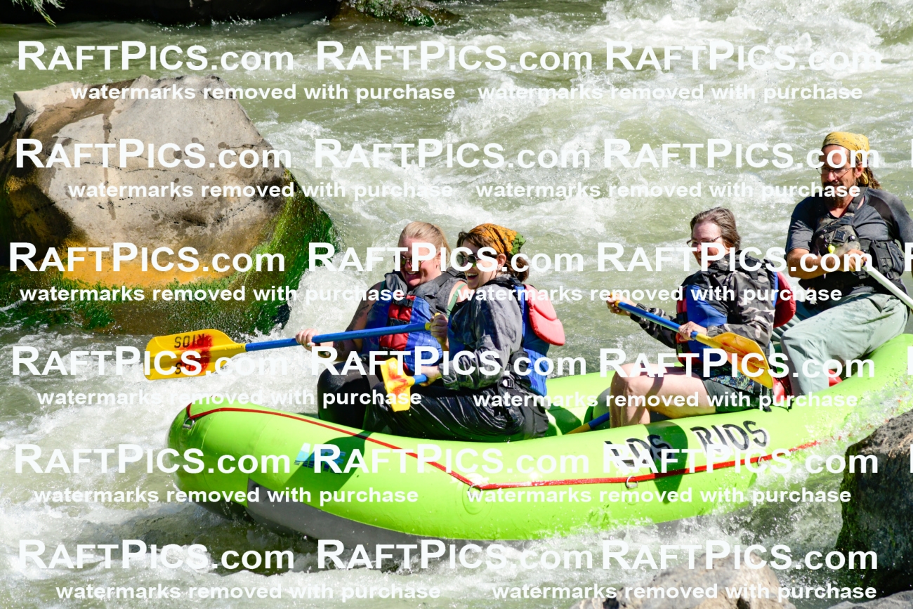 010055_Raftpics_September-07__LOS_RIOS__Racecourse_AM_KA_Shay