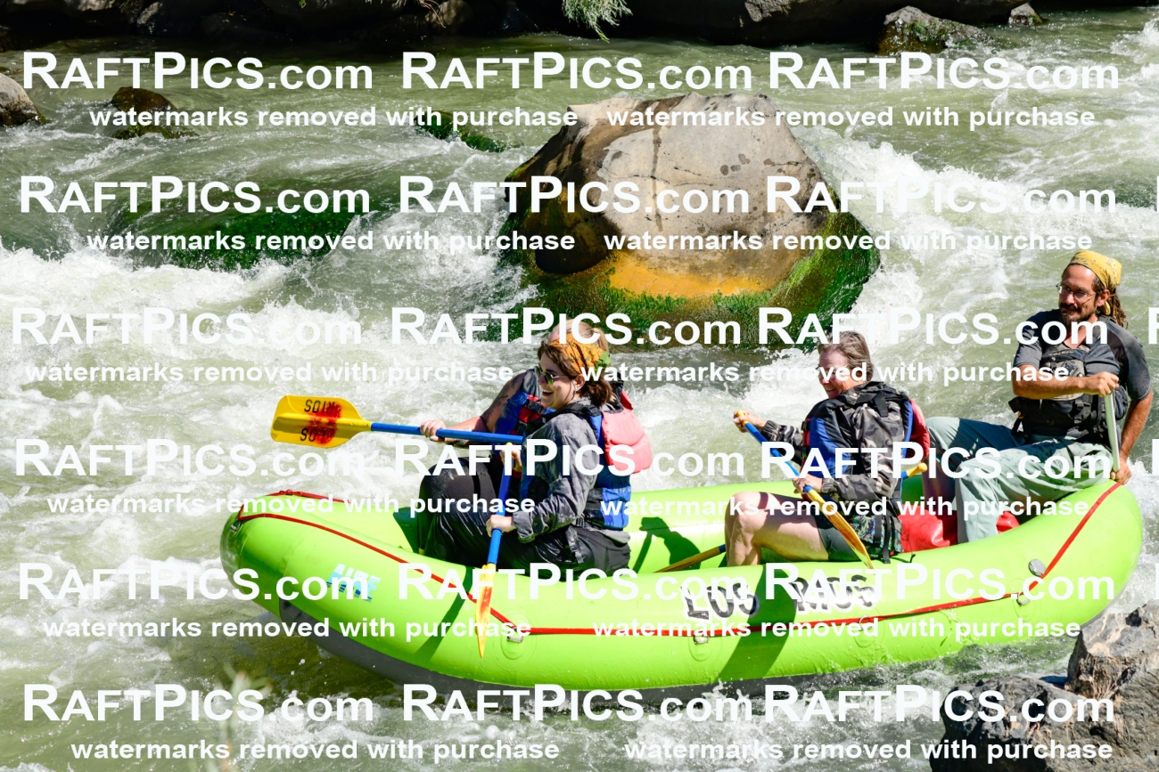 010060_Raftpics_September-07__LOS_RIOS__Racecourse_AM_KA_Shay