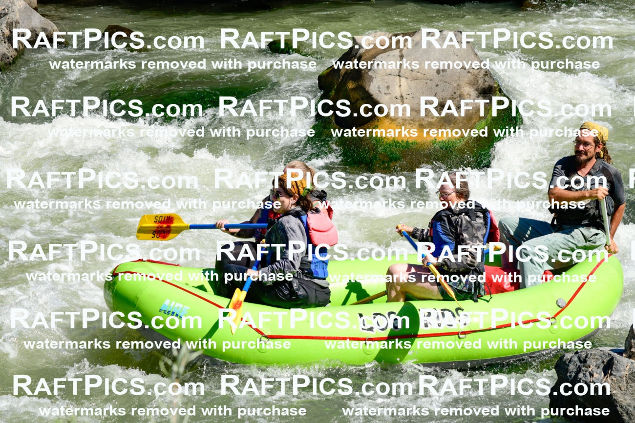 010061_Raftpics_September-07__LOS_RIOS__Racecourse_AM_KA_Shay