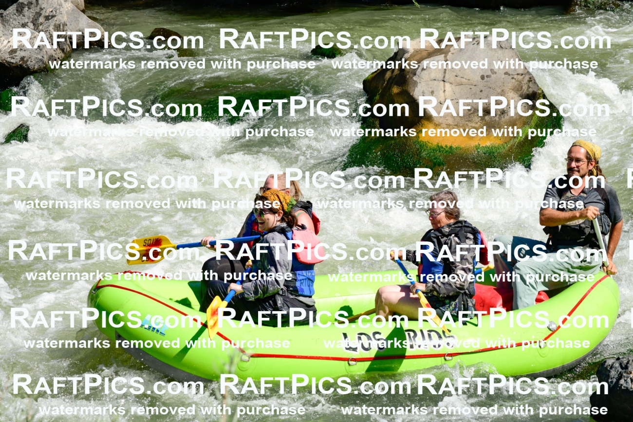 010062_Raftpics_September-07__LOS_RIOS__Racecourse_AM_KA_Shay