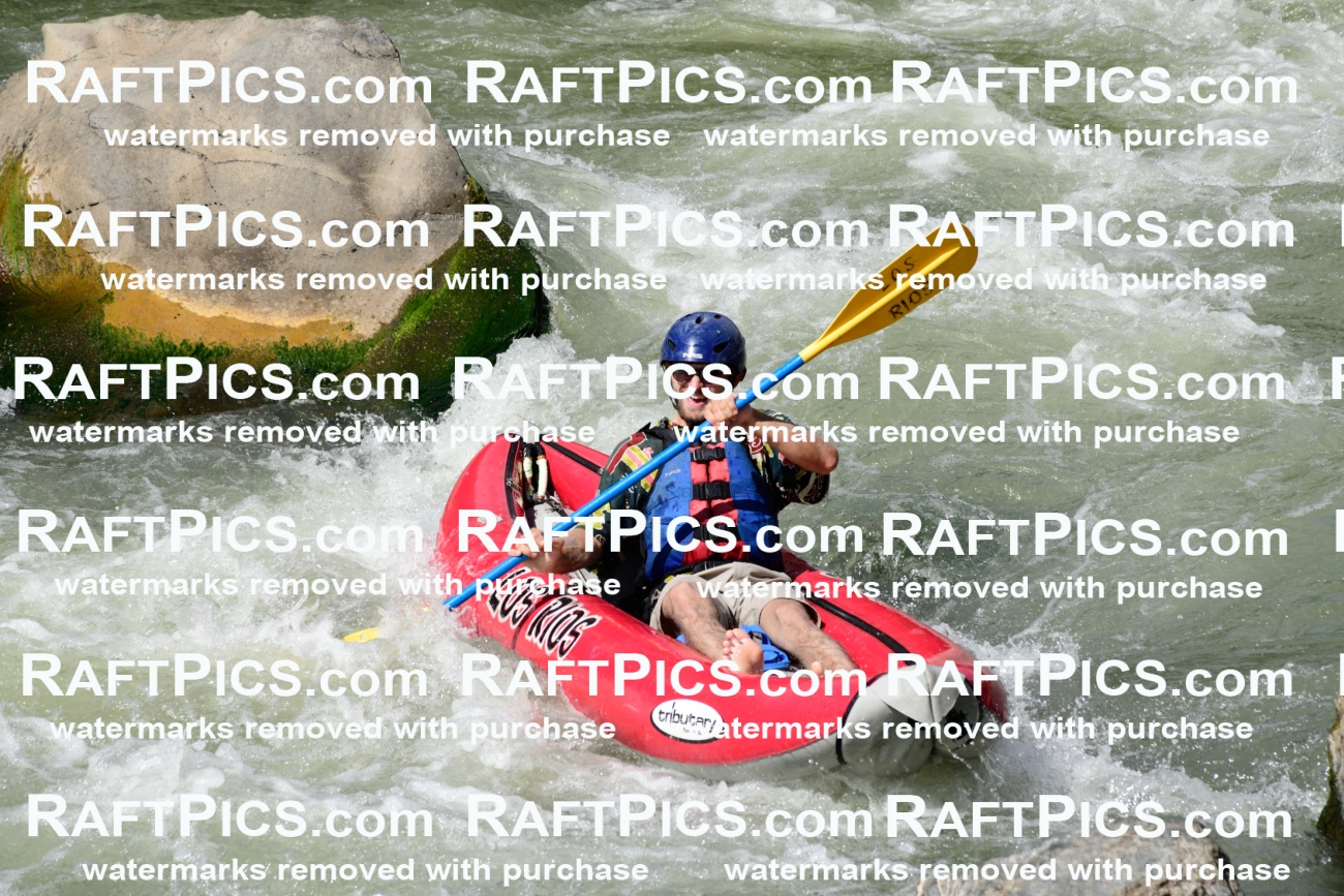 010839_Raftpics_September-07__LOS_RIOS__Racecourse_PM_KA_Funyak-02_KLA0495