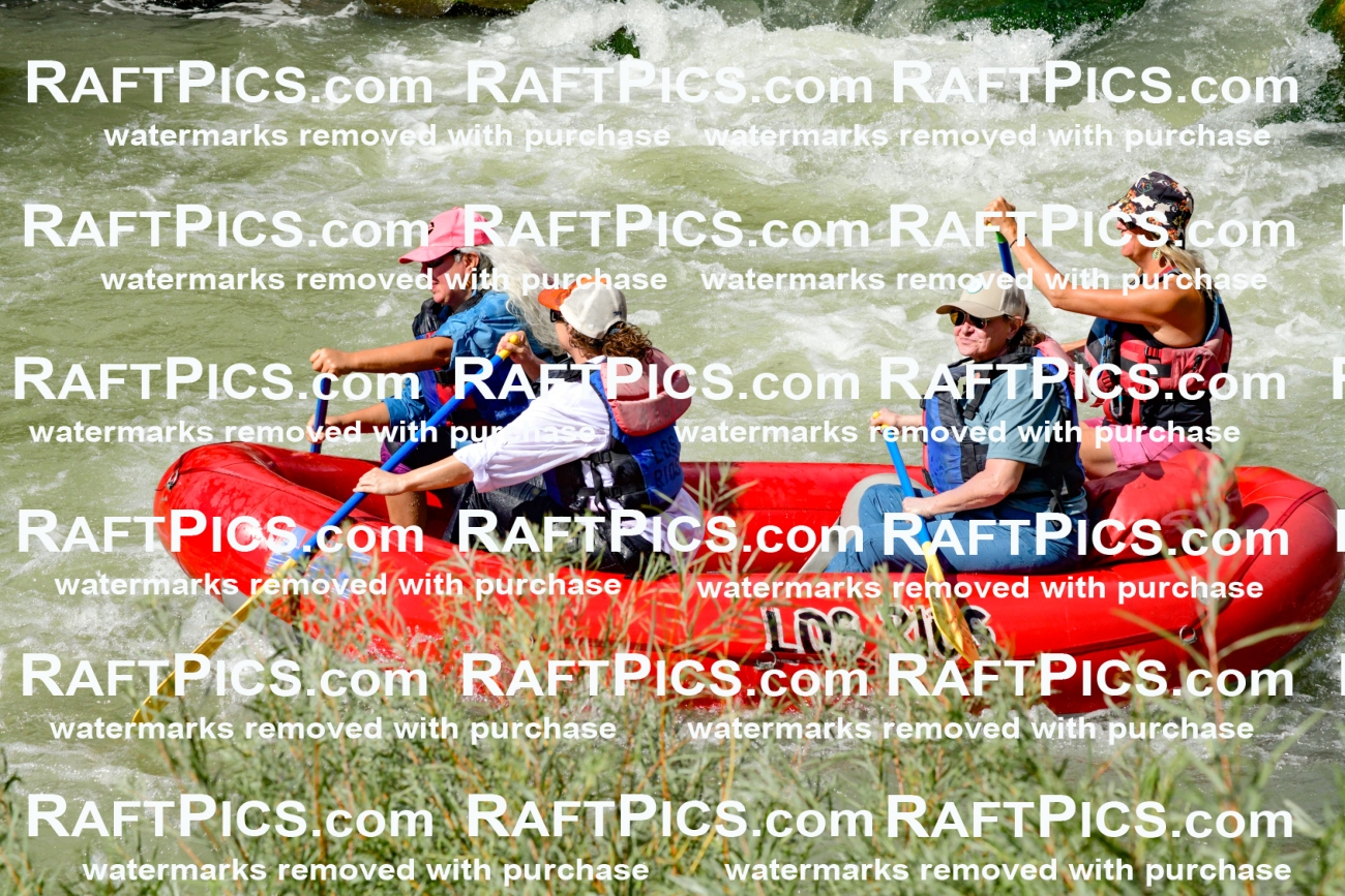 010228_Raftpics_September-07__LOS_RIOS__Racecourse_PM_KA_Leslie